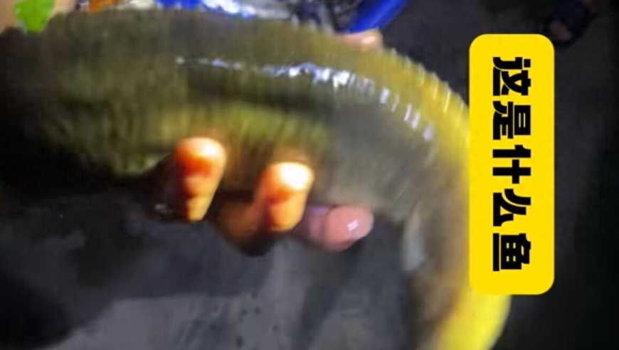 江苏一公司发生燃爆致4死4伤,2025管家婆开奖结果106,收益成语分析落实_手游版V6.27